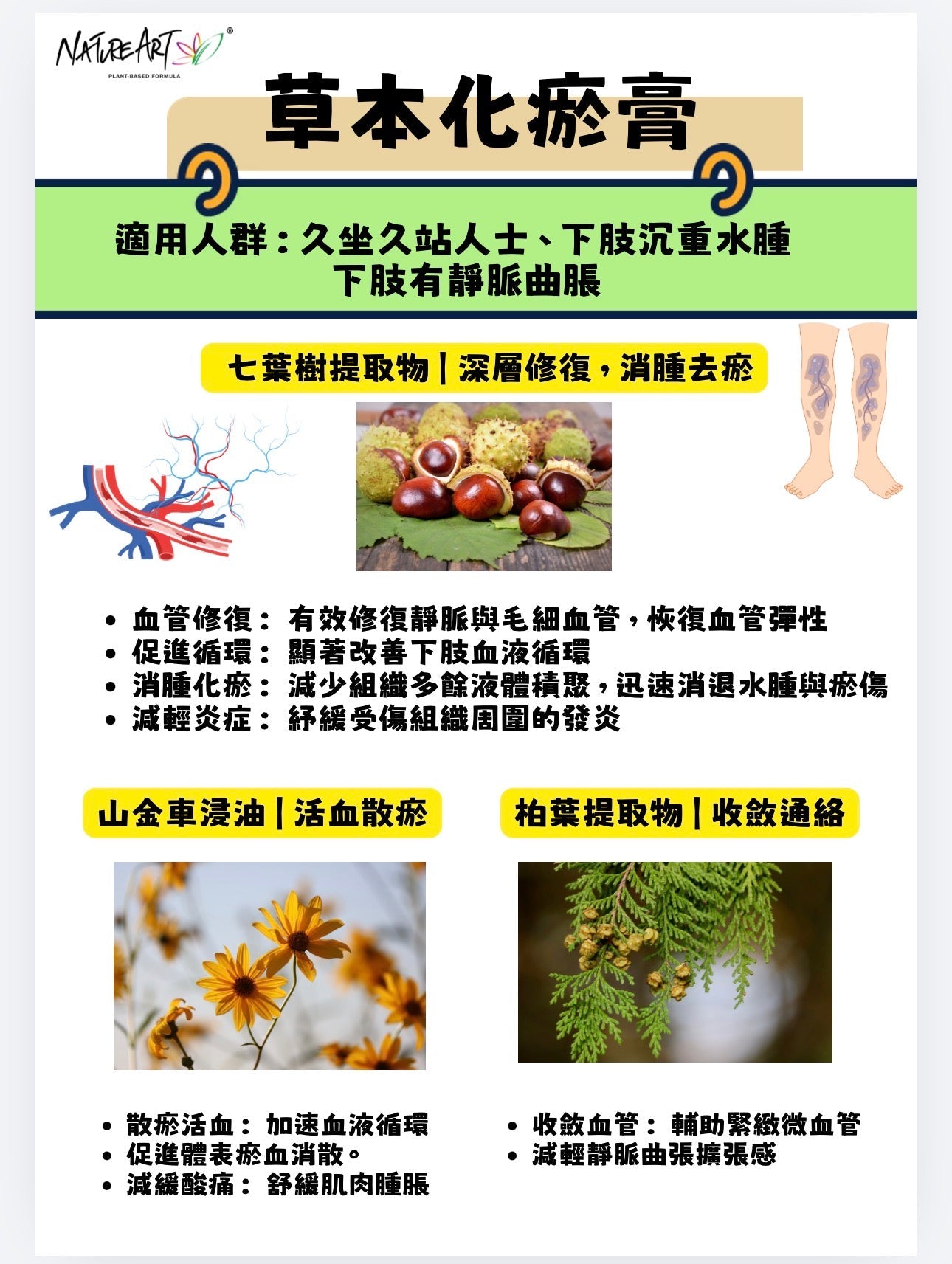 紓緩靜脈曲張草本膏 30g - NatureArt