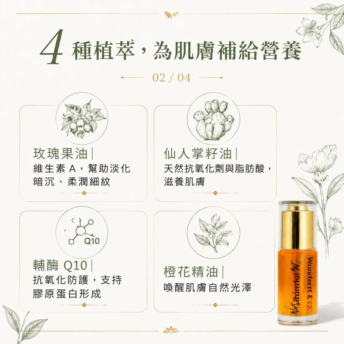 天然極致黃金油⭐ - NatureArt